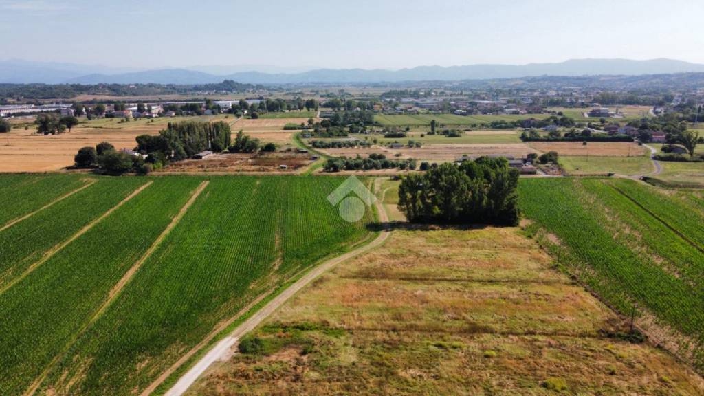 immagine annuncio 11 di 14