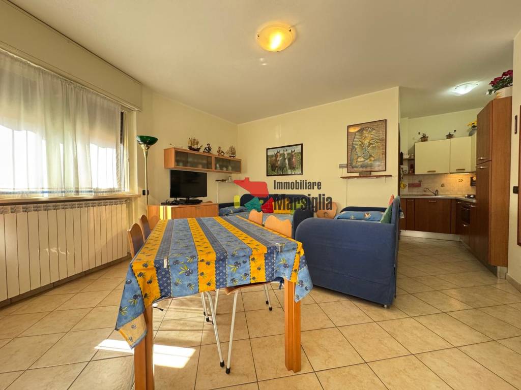 immagine annuncio 3 di 13