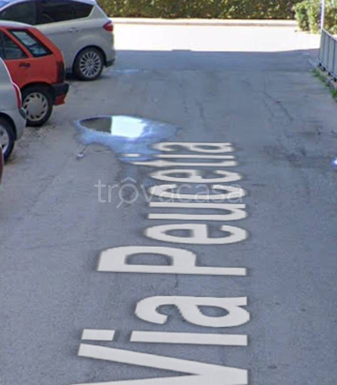 immagine annuncio 2 di 12