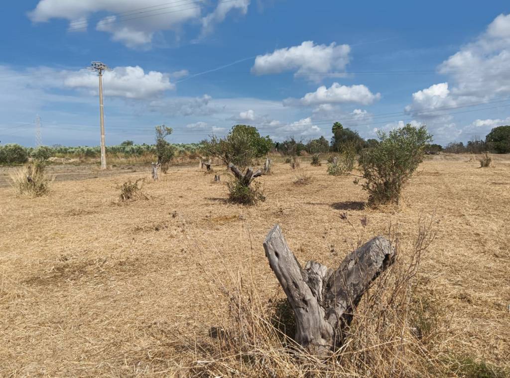 immagine annuncio 4 di 13