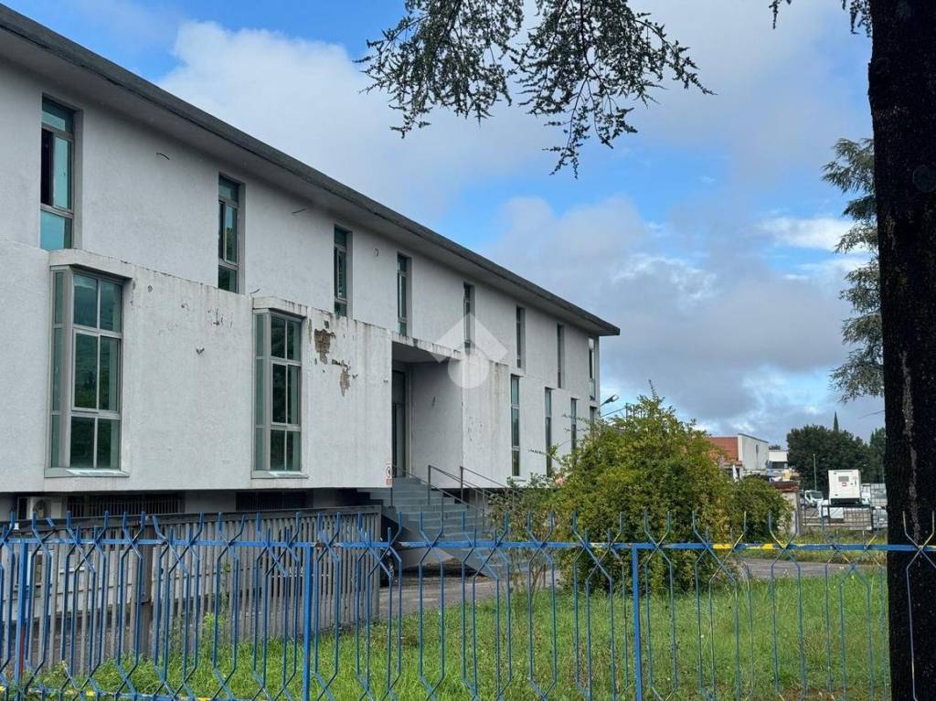 immagine annuncio 7 di 13