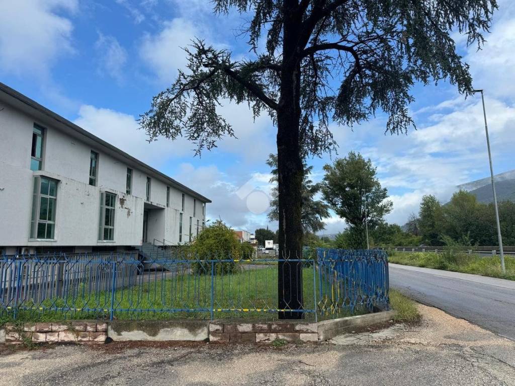 immagine annuncio 8 di 13