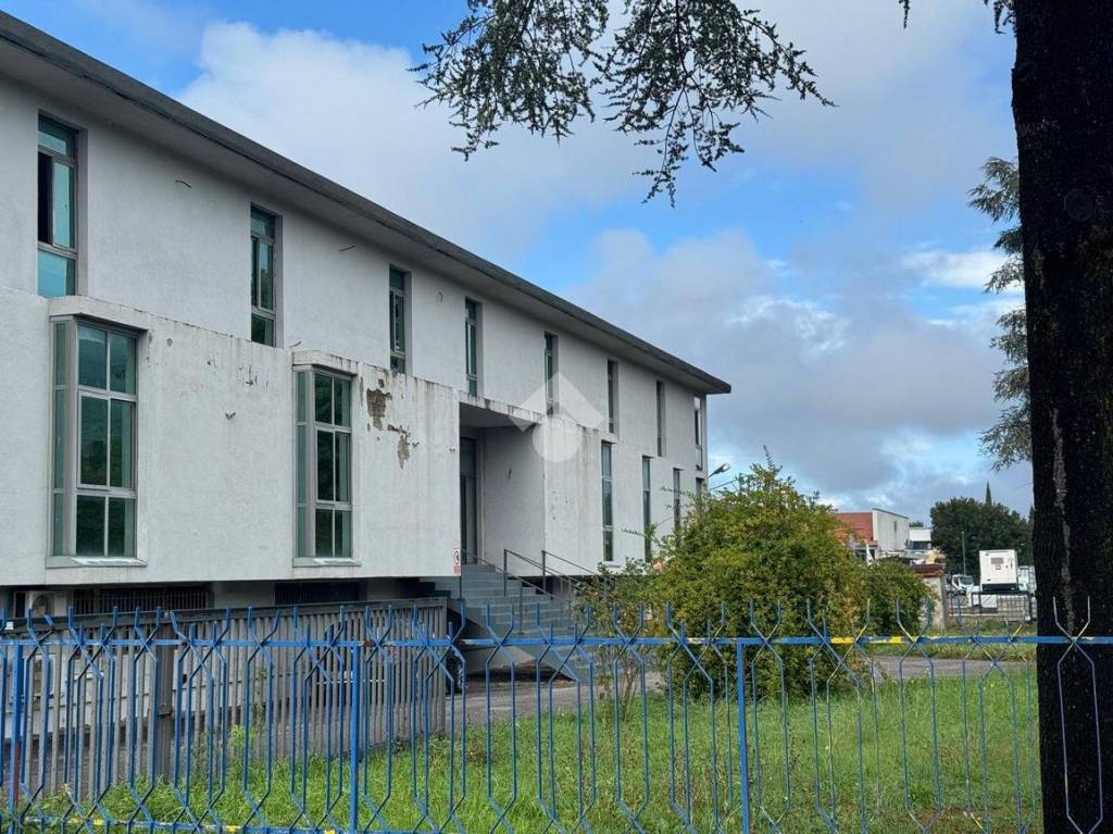 immagine annuncio 11 di 13