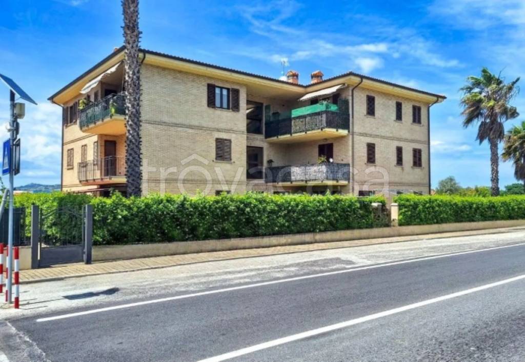 immagine annuncio 5 di 12