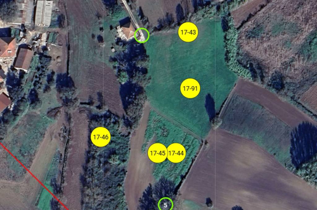 immagine annuncio 1 di 10