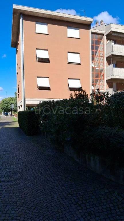 immagine annuncio 3 di 14