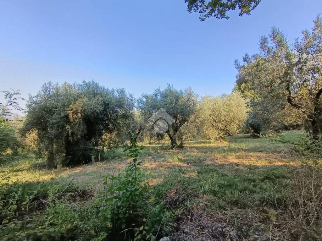 immagine annuncio 1 di 14