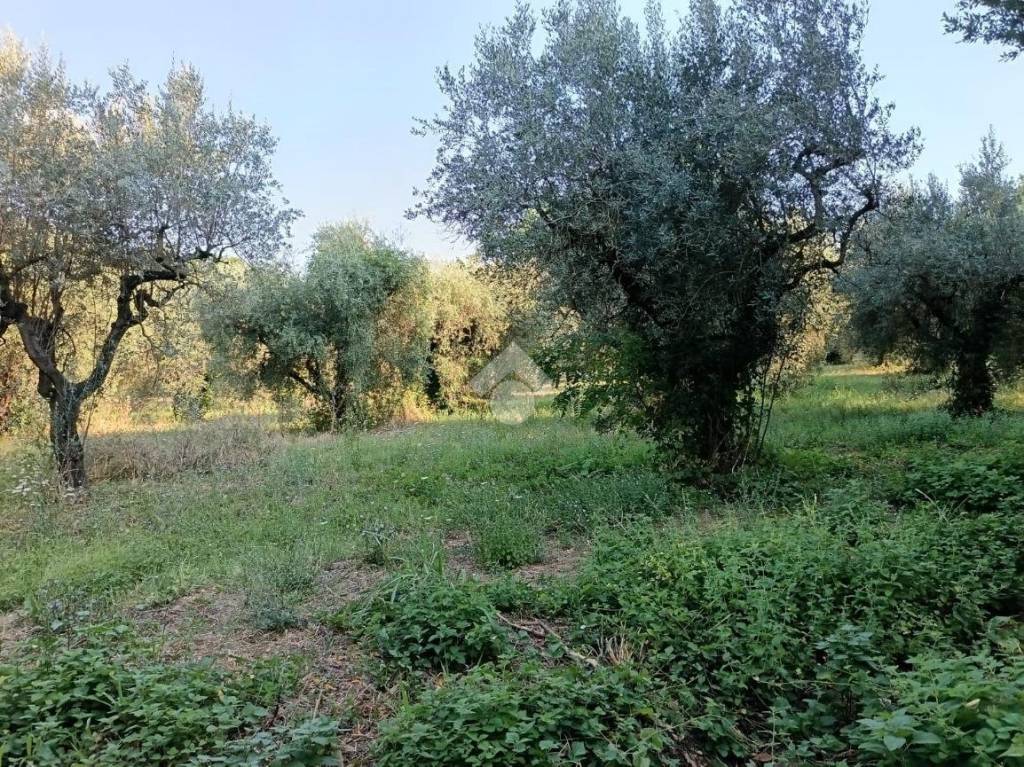 immagine annuncio 3 di 14
