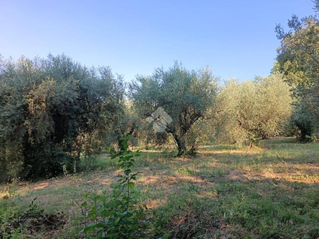 immagine annuncio 5 di 14