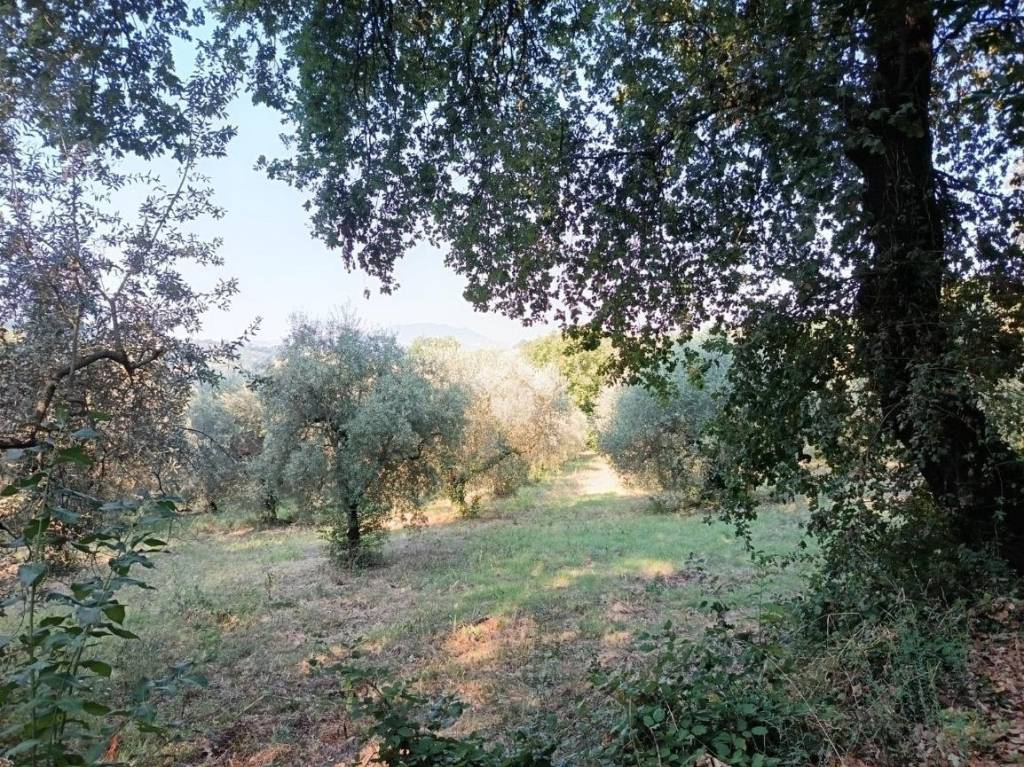 immagine annuncio 7 di 14
