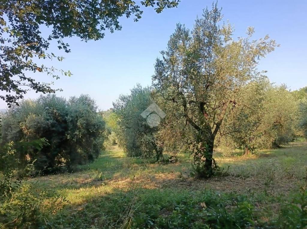 immagine annuncio 8 di 14