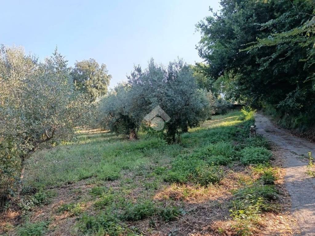 immagine annuncio 10 di 14