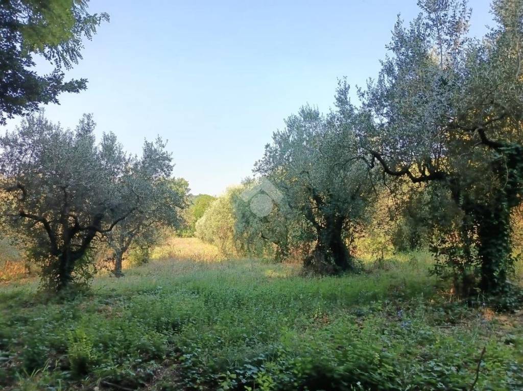 immagine annuncio 11 di 14