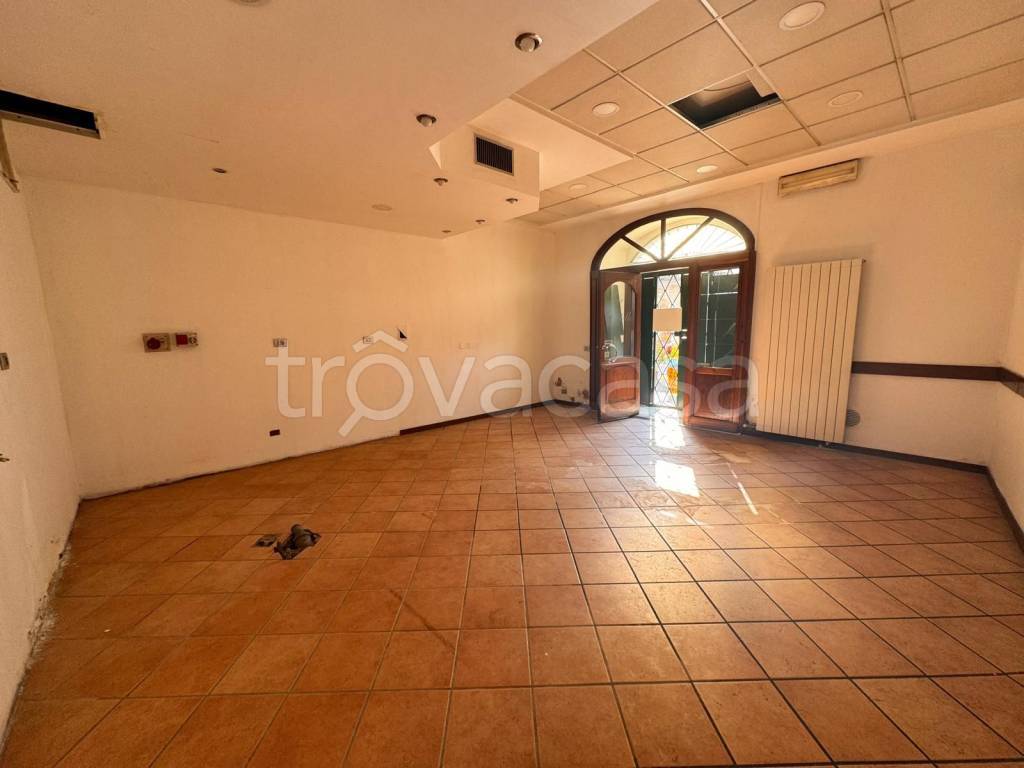 immagine annuncio 2 di 14