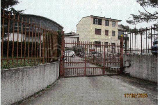 immagine annuncio 9 di 12