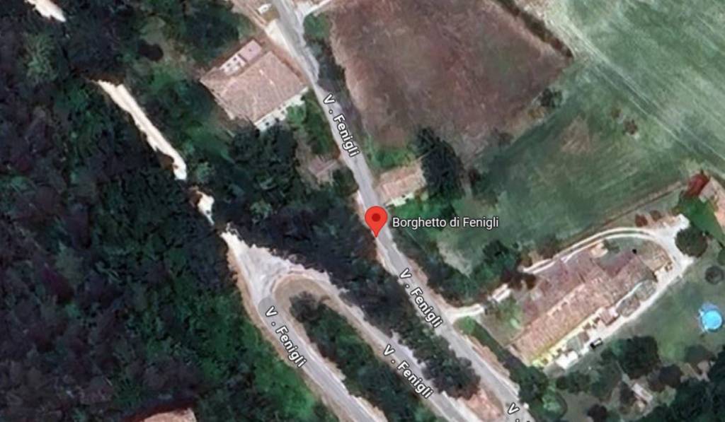 immagine annuncio 2 di 12