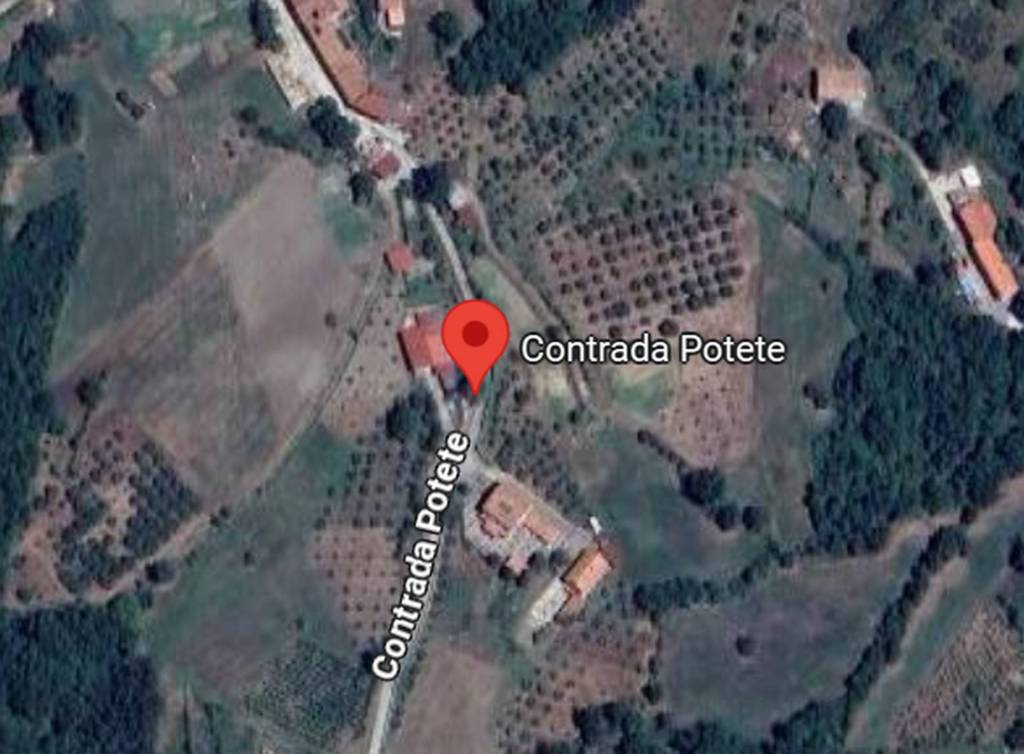 immagine annuncio 10 di 12