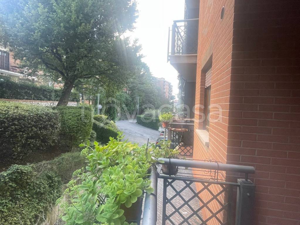 immagine annuncio 4 di 8