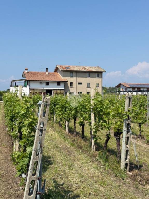 immagine annuncio 2 di 6