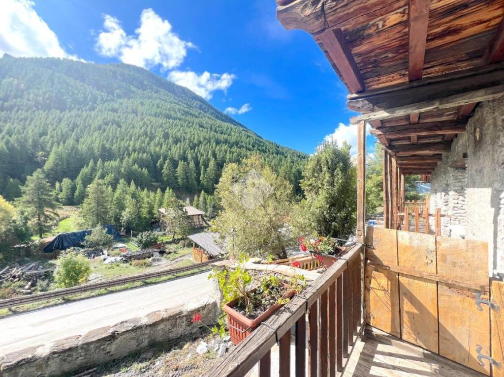 immagine annuncio 4 di 12