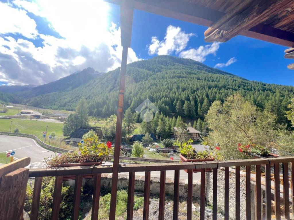 immagine annuncio 3 di 12