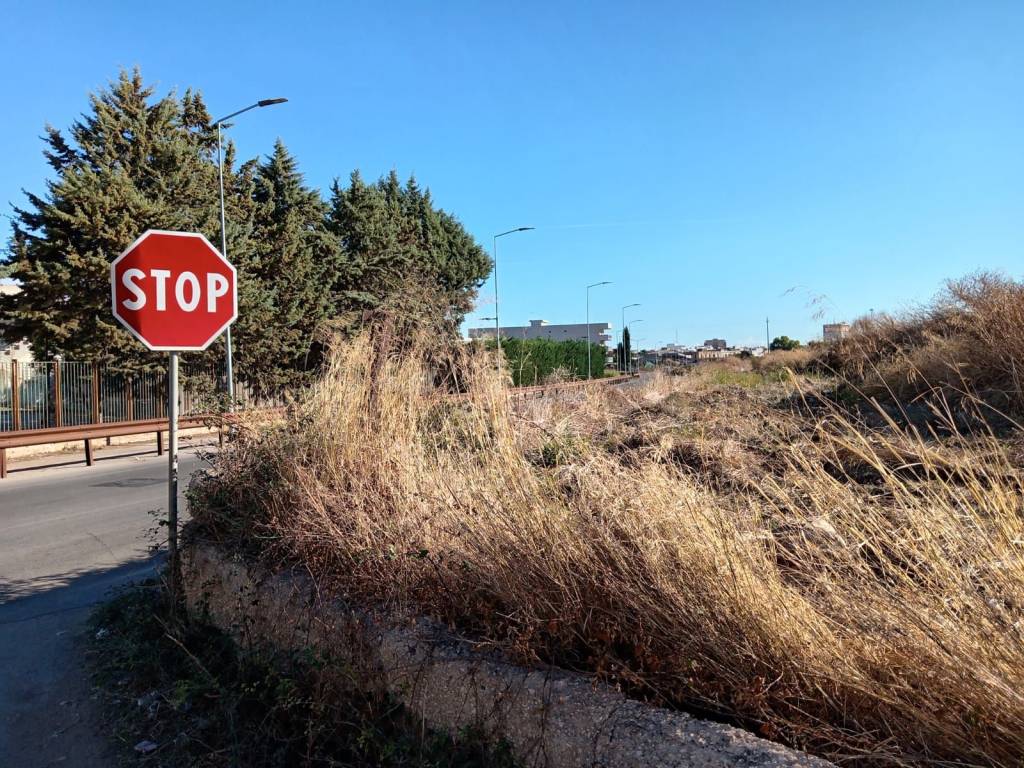 immagine annuncio 3 di 12