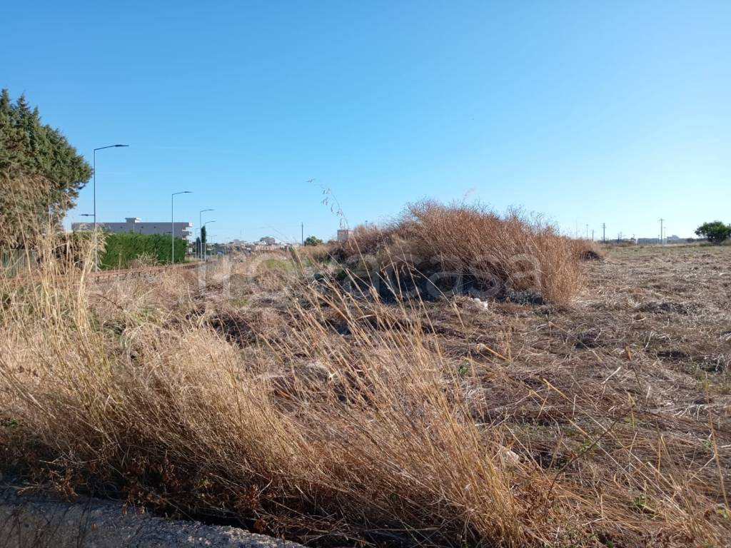 immagine annuncio 4 di 12