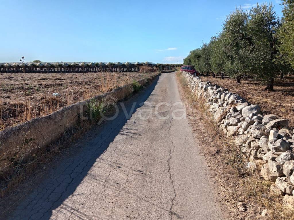 immagine annuncio 5 di 12