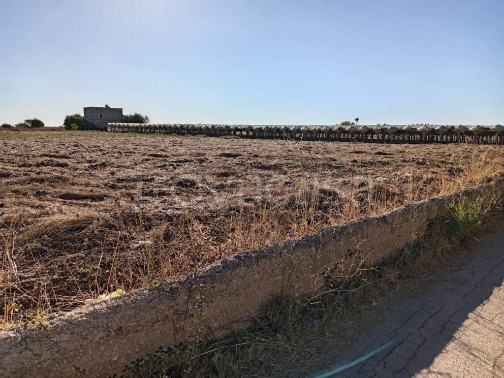 immagine annuncio 6 di 12