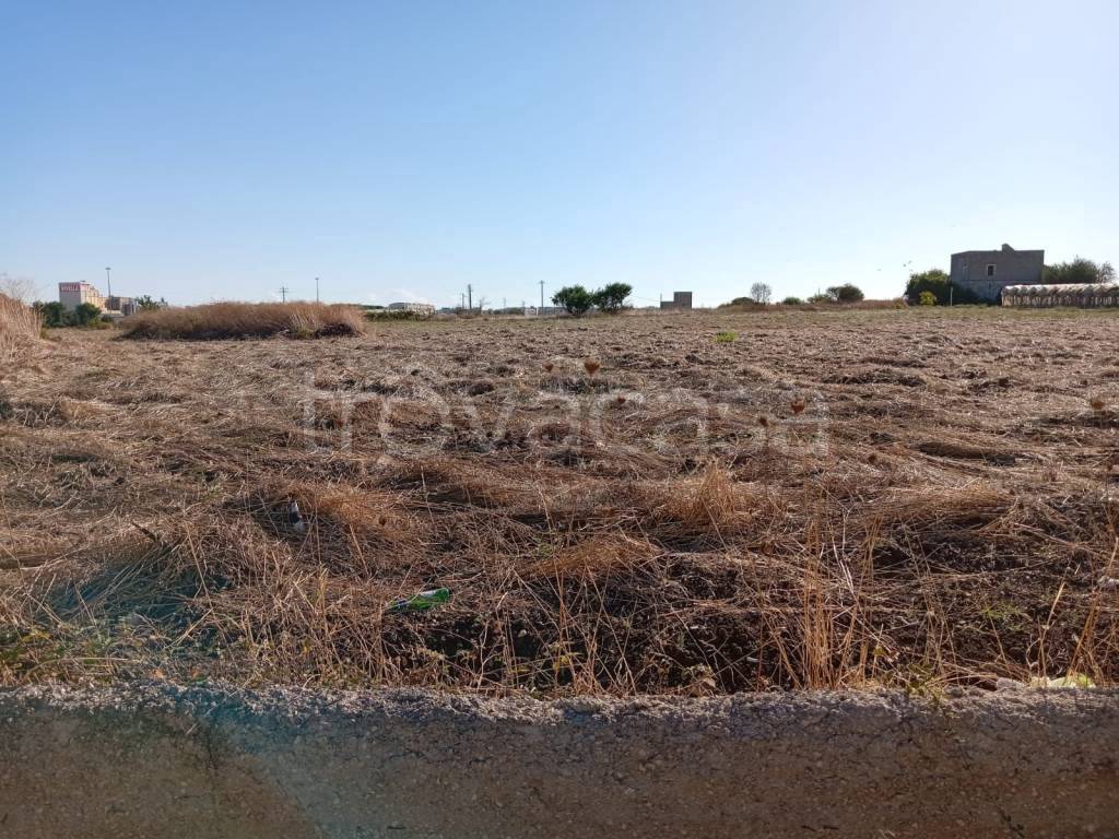 immagine annuncio 7 di 12