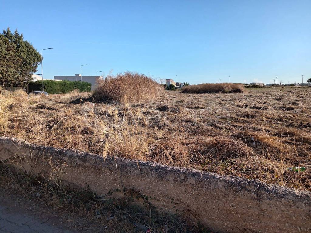 immagine annuncio 9 di 12