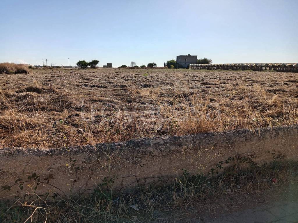 immagine annuncio 10 di 12