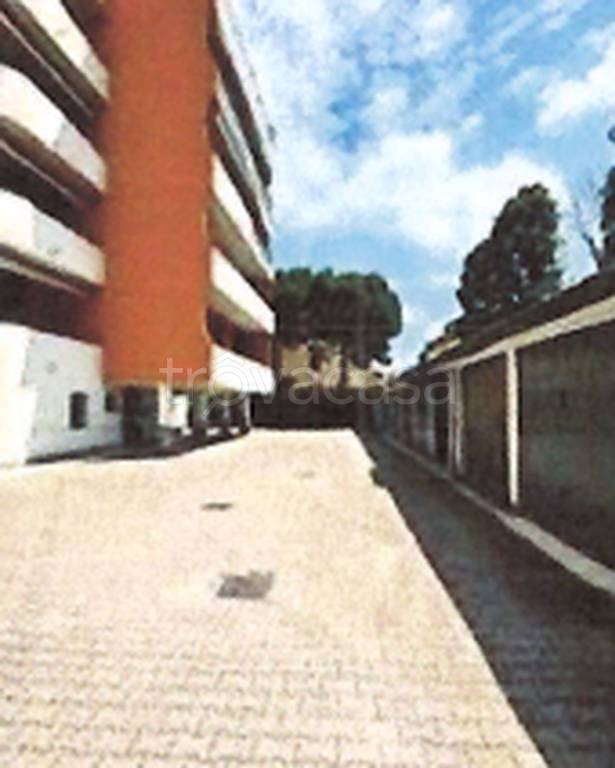 immagine annuncio 10 di 14