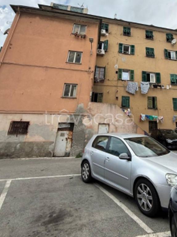 immagine annuncio 5 di 12