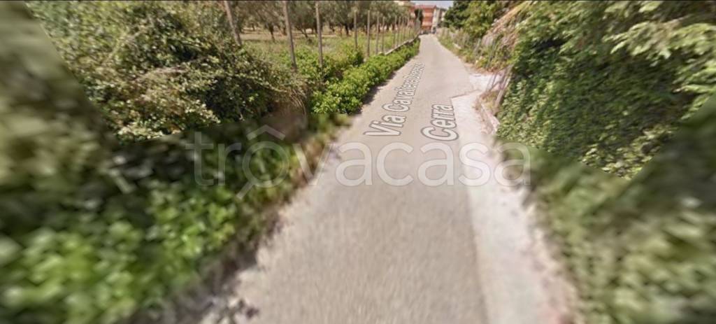 immagine annuncio 4 di 14