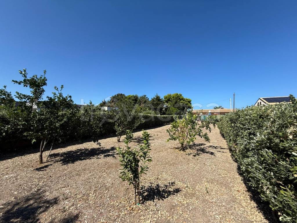 immagine annuncio 3 di 14