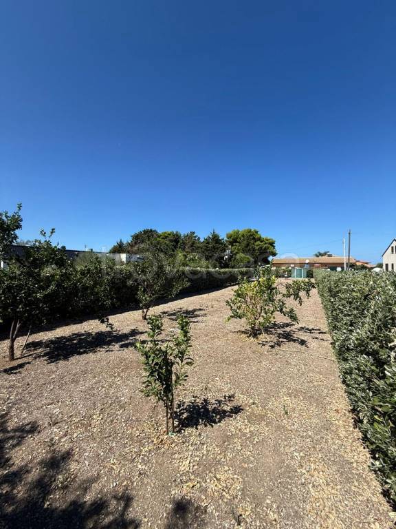 immagine annuncio 6 di 14