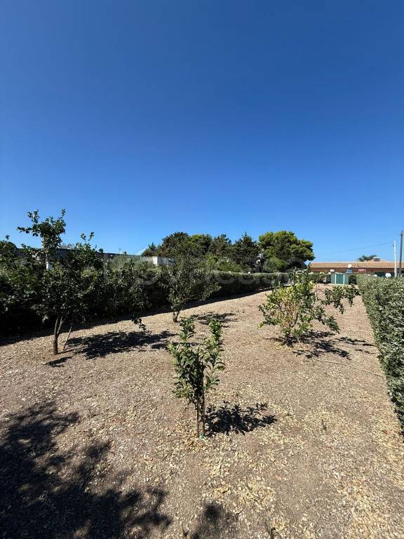 immagine annuncio 7 di 14