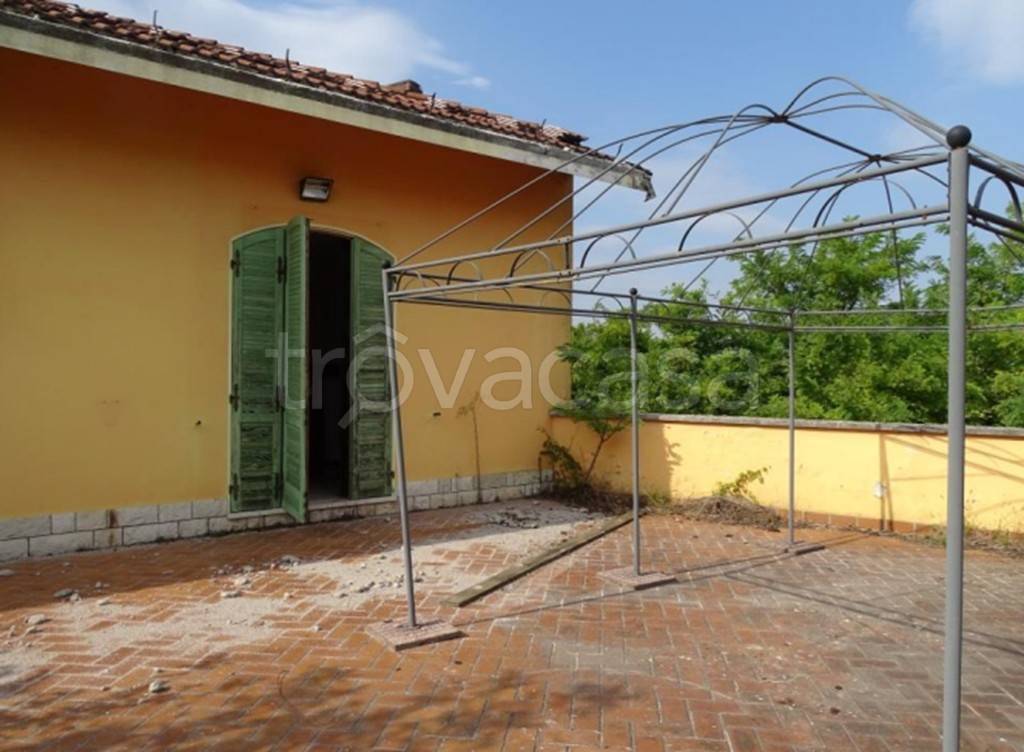 immagine annuncio 2 di 13