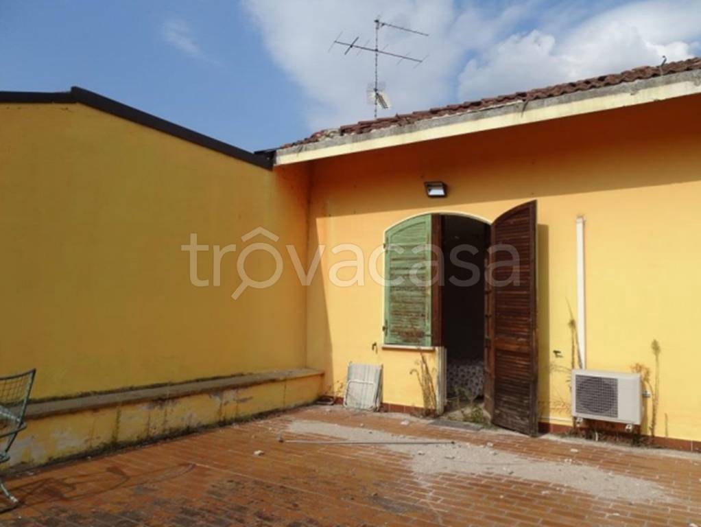 immagine annuncio 3 di 13