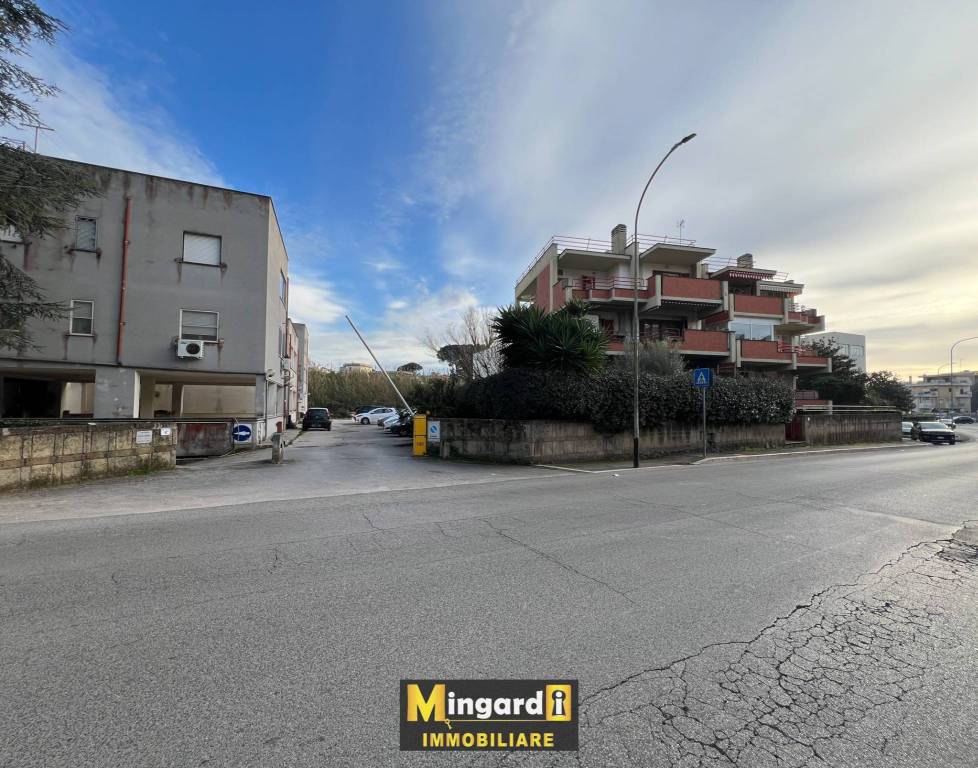 immagine annuncio 5 di 8
