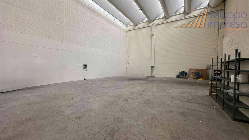 immagine annuncio 1 di 11