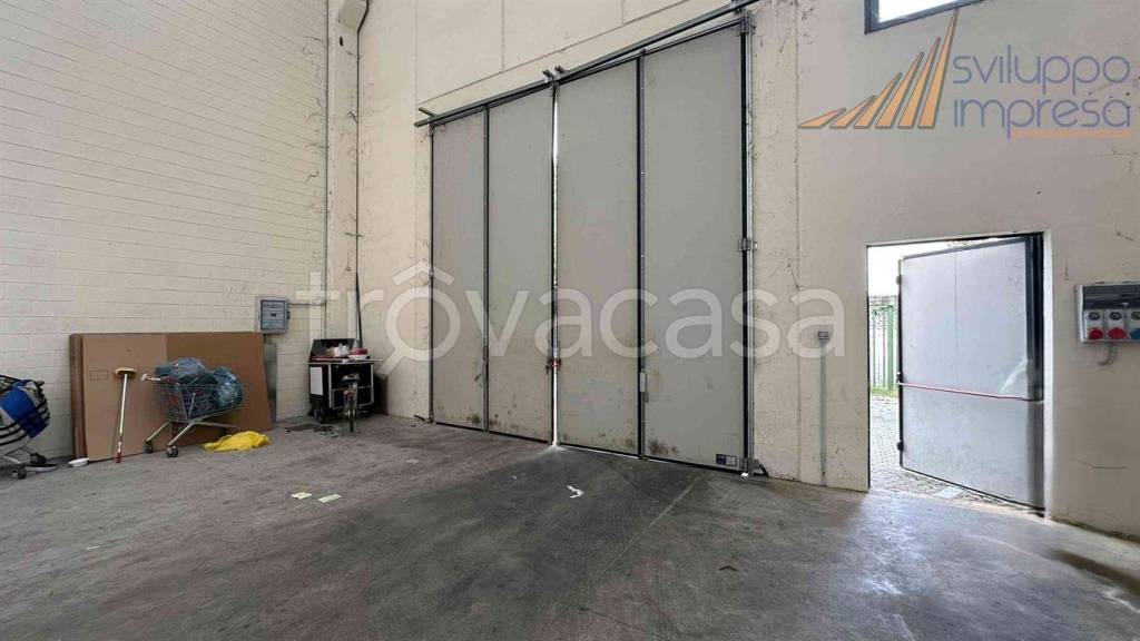 immagine annuncio 3 di 11