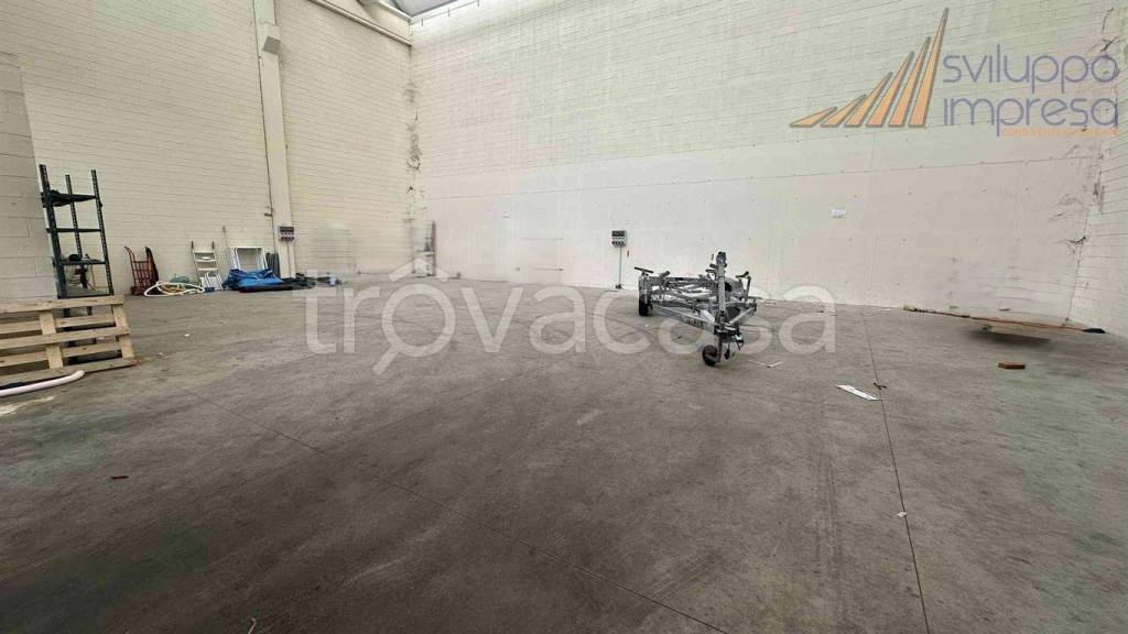 immagine annuncio 4 di 11