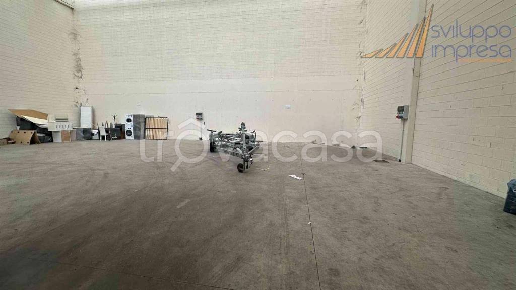 immagine annuncio 5 di 11