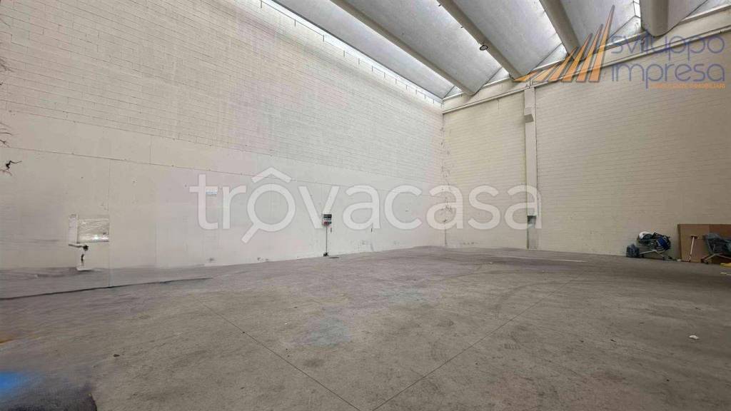 immagine annuncio 6 di 11