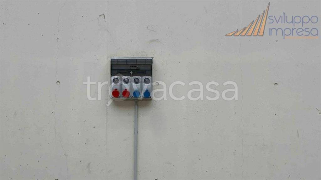 immagine annuncio 9 di 11