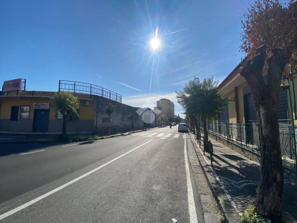 immagine annuncio 2 di 7