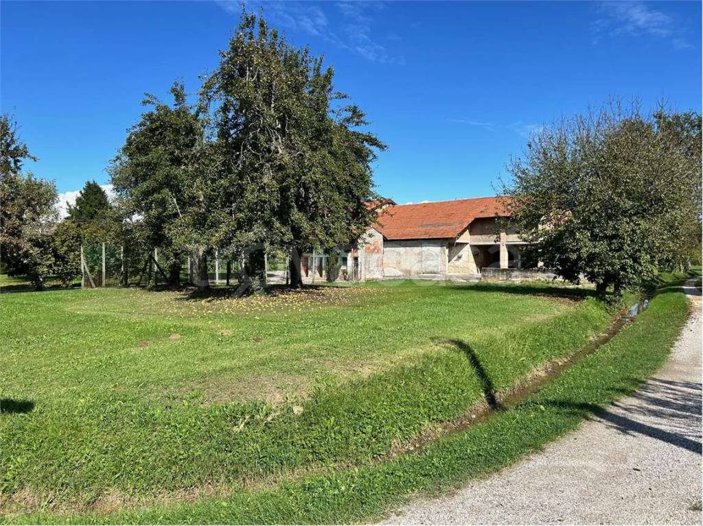 immagine annuncio 3 di 8