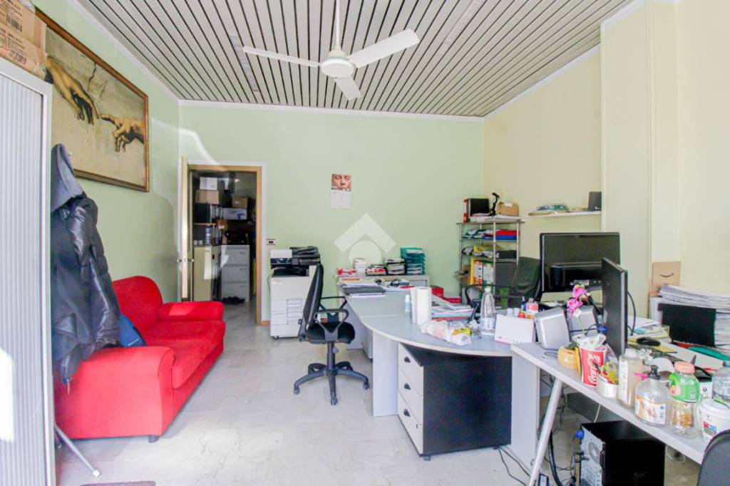 immagine annuncio 6 di 12